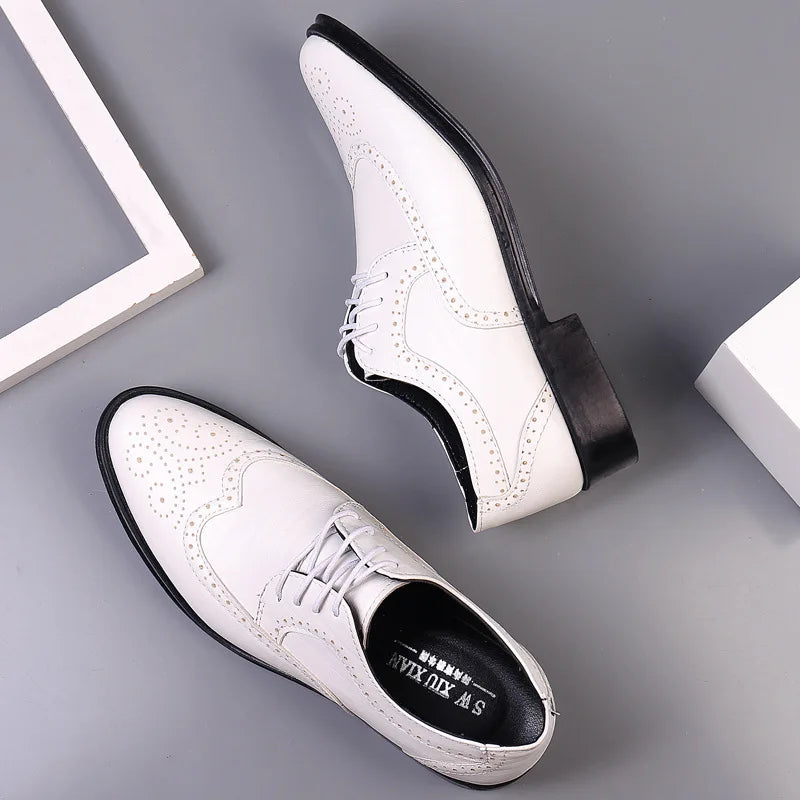 Povi - Affordable Brogue derby dress shoes for men - Ashour Shoes