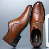 Povi - Affordable Brogue derby dress shoes for men - Ashour Shoes