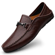 Brown 1