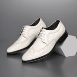 Povi - Affordable Brogue derby dress shoes for men - Ashour Shoes