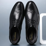 Povi - Affordable Brogue derby dress shoes for men - Ashour Shoes